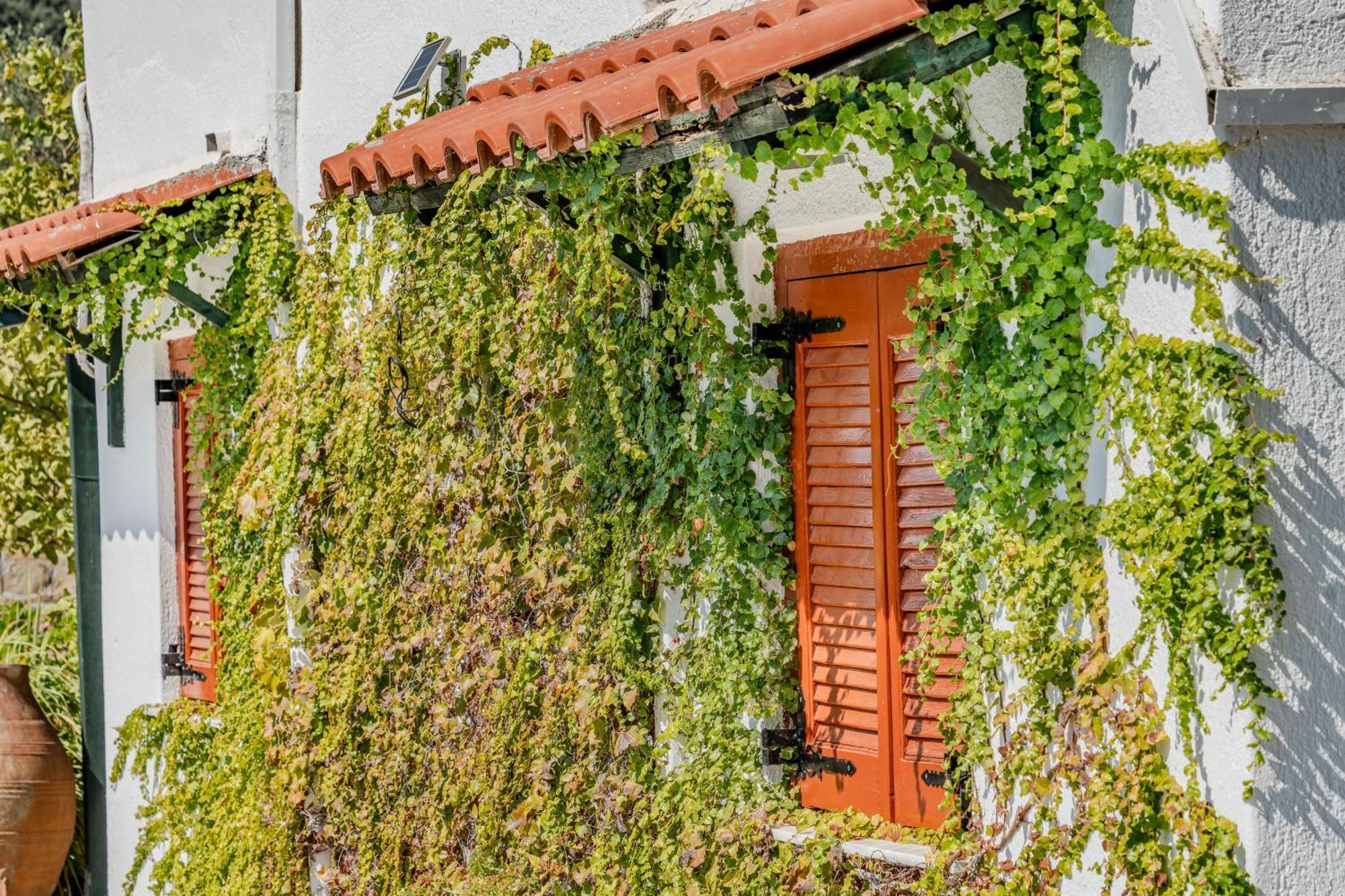 Athina Villas Istron エクステリア 写真