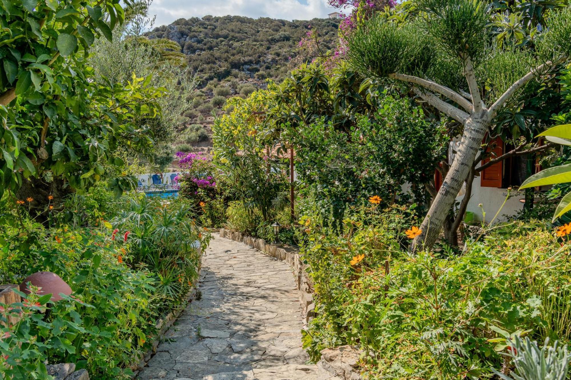Athina Villas Istron エクステリア 写真