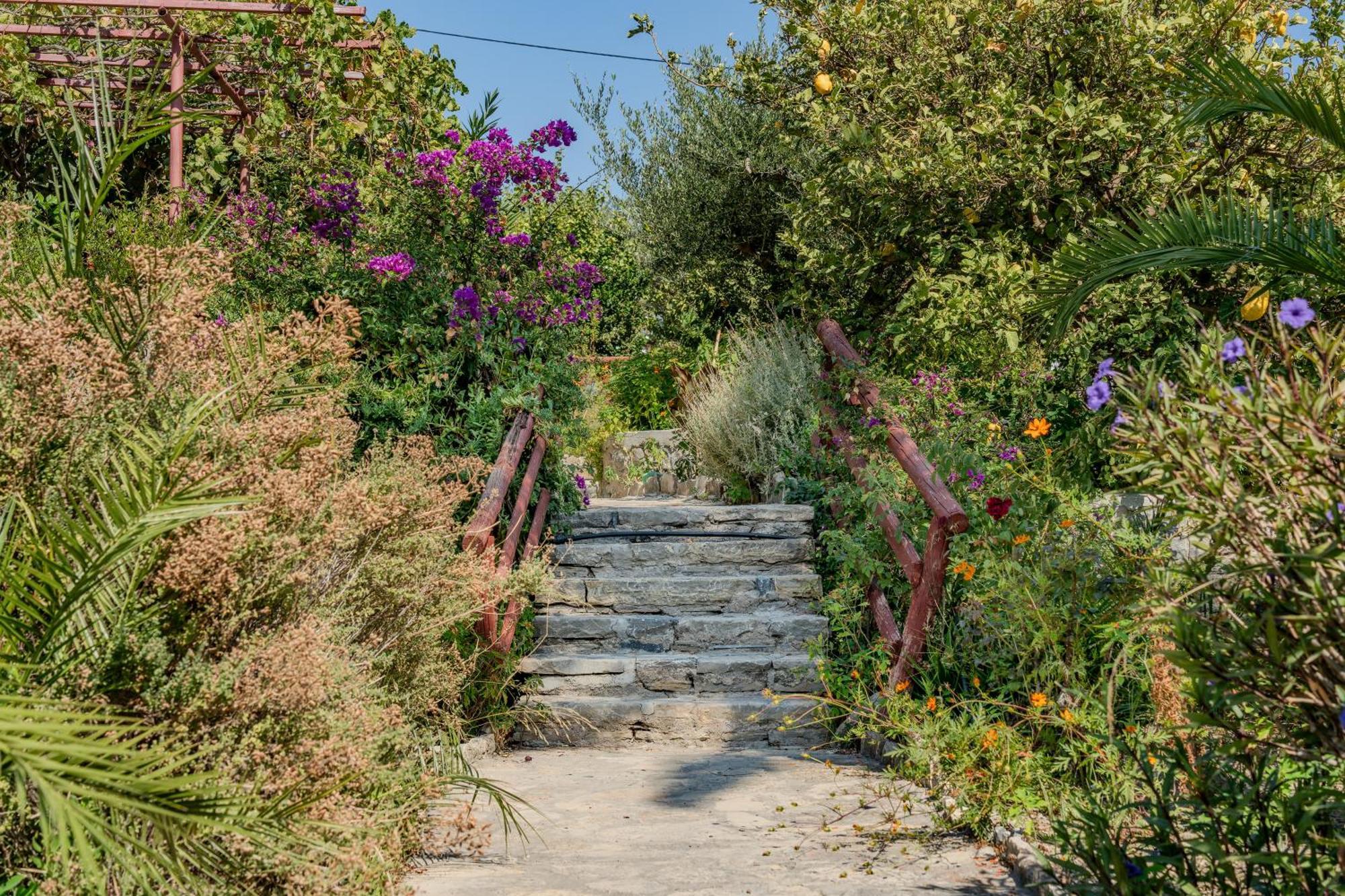 Athina Villas Istron エクステリア 写真
