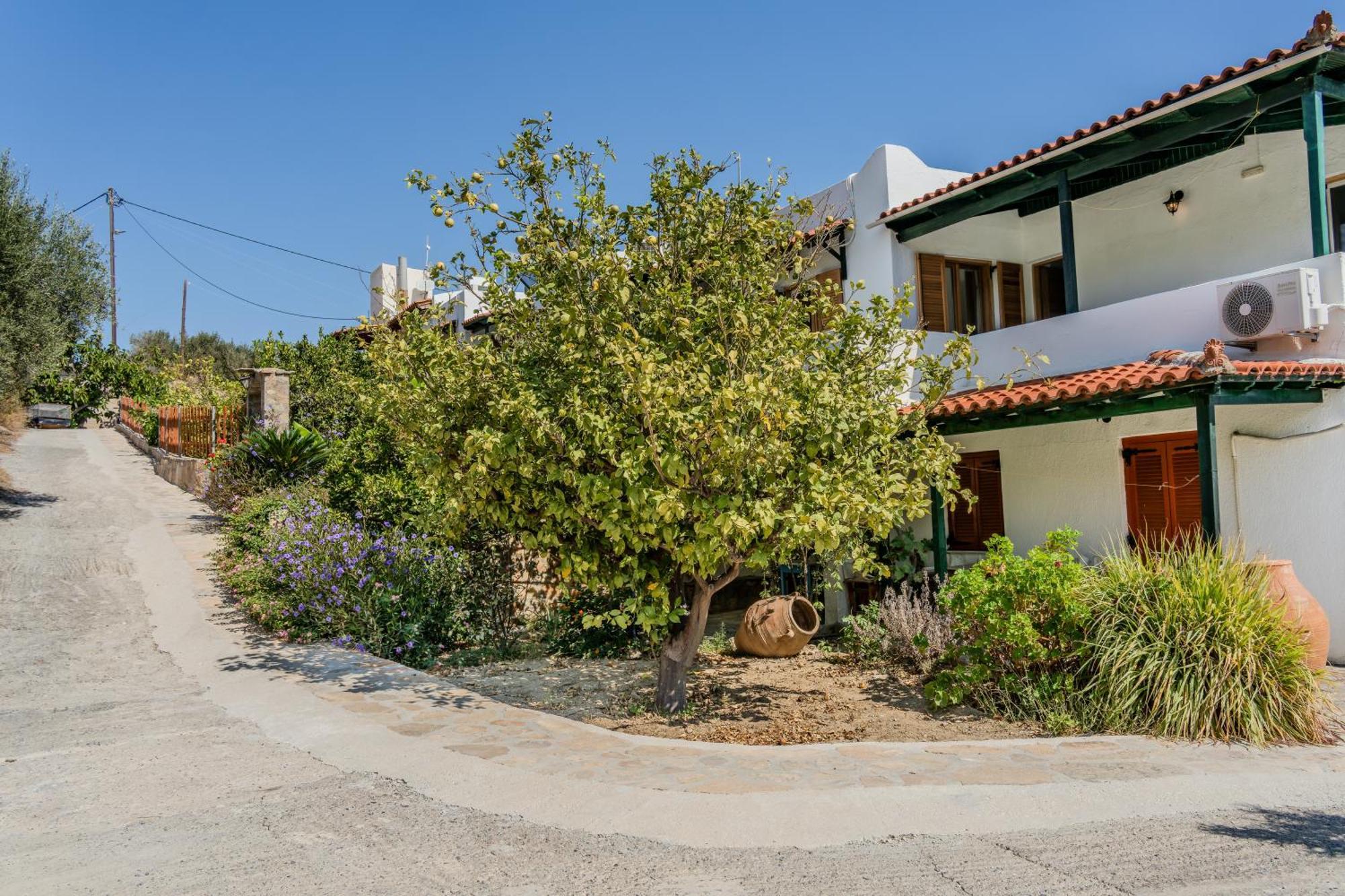 Athina Villas Istron エクステリア 写真