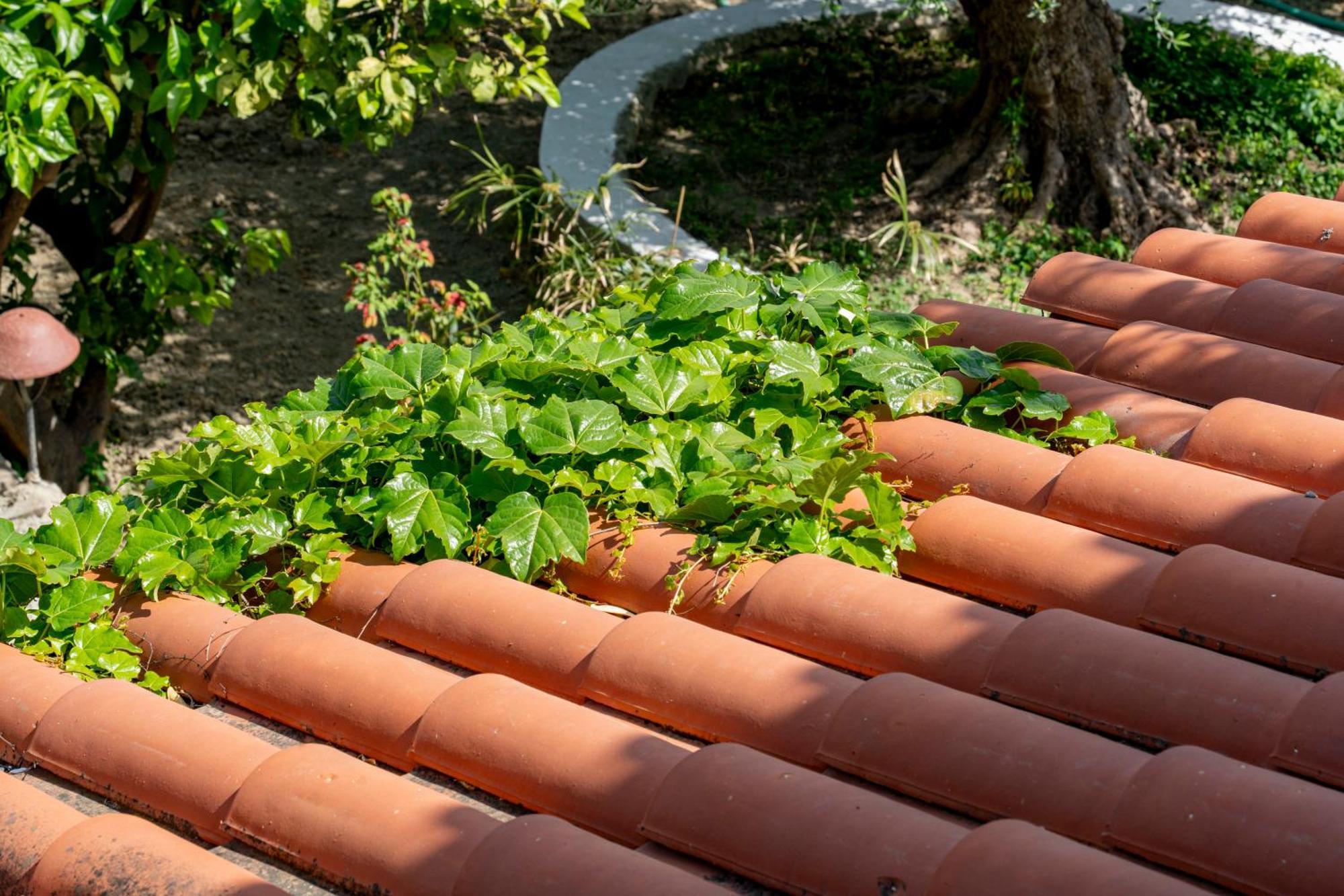 Athina Villas Istron エクステリア 写真